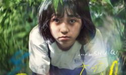 舒淇自编自导处女作电影《女孩》入选第50届多伦多国际电影节“中心展映”