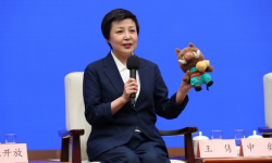 动画电影《浪浪山小妖怪》票房破3亿元 同名VR电影制作积极推进中