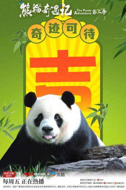 cdb8725d34ef3fe2af77ee9b60d42c57