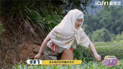 a3f507cc2da7689d46b77b31a53d58e4